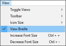 View window with View Braille highlighted